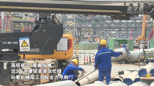 华锦阿美精细化工及原料工程建设全速推进，打造高端石化产业新标杆